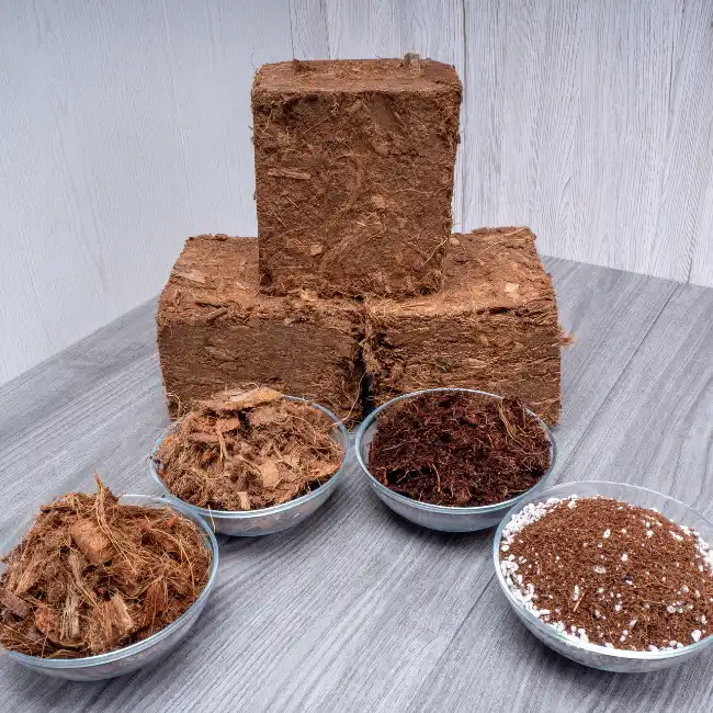 Coco peat